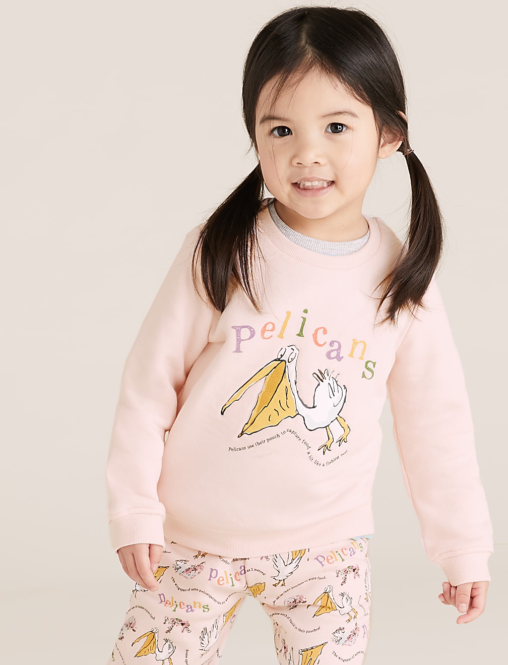 Roald Dahl™ & NHM™ Pelican Sweatshirt
