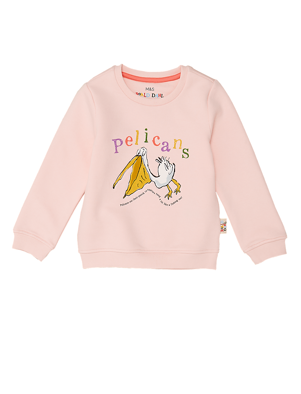 Roald Dahl™ & NHM™ Pelican Sweatshirt