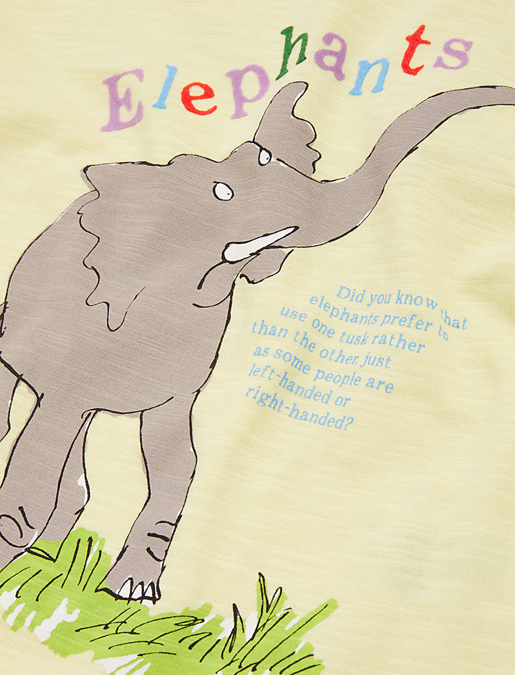 Pure Cotton Roald Dahl™ & NHM™ Elephant Top (2-7 Yrs)