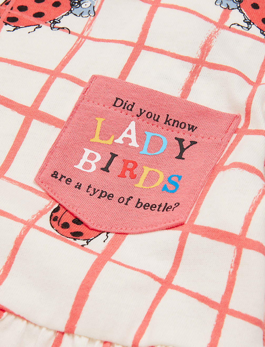 Pure Cotton Roald Dahl™ & NHM™ Ladybird Dress (2-7 Yrs)