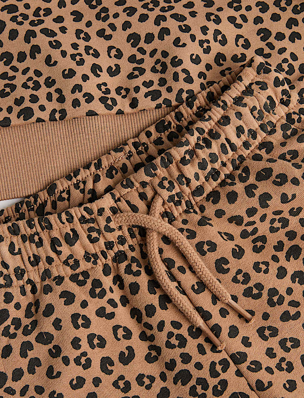 2 Piece Cotton Rich Leopard Print Jogger Set (2-8 Yrs)