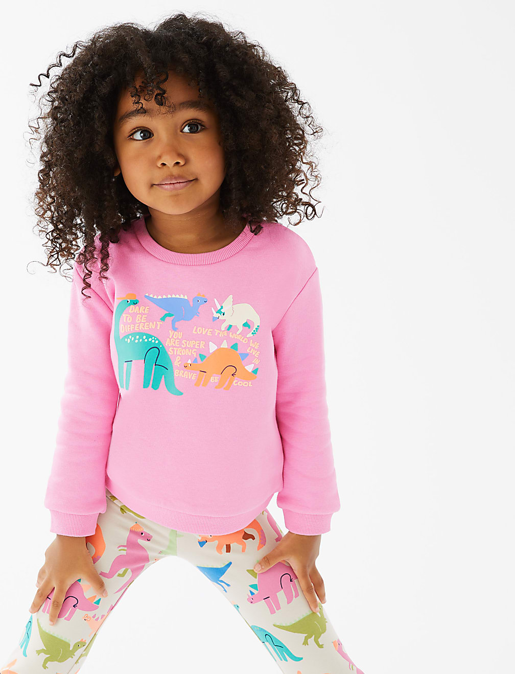Cotton Rich Dinosaur Print Sweatshirt (2-7 Yrs)