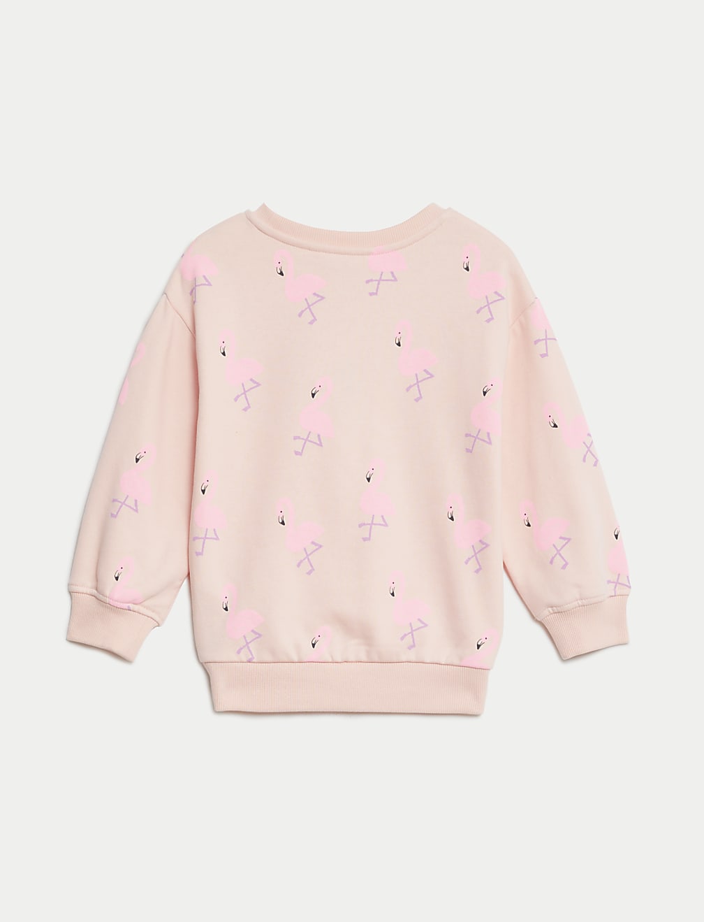 Cotton Rich Printed Sweatshirt (2-8 Yrs)