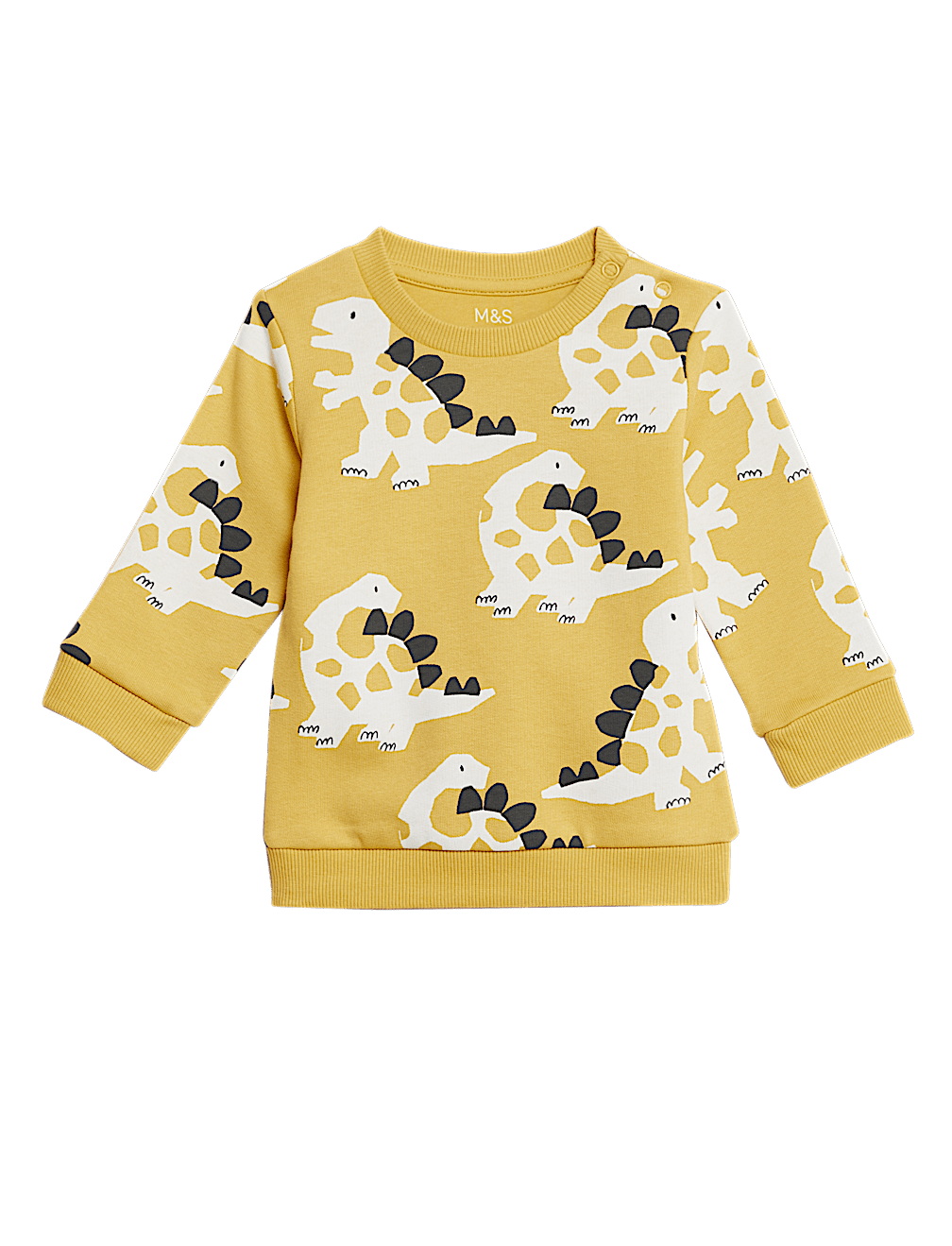 Cotton Rich Dinosaur Sweatshirt (0-3 Yrs)