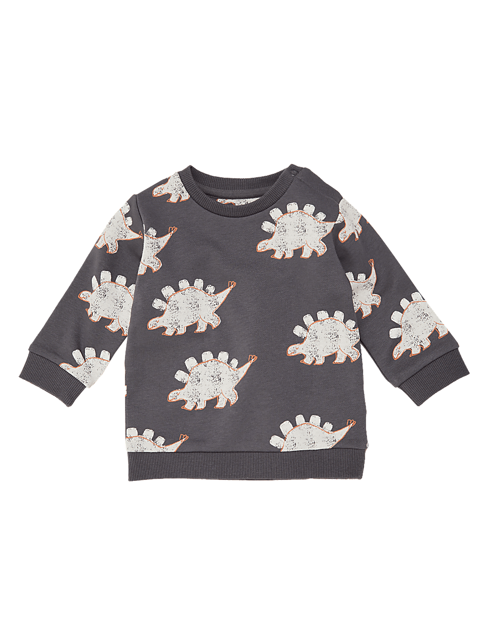 Cotton Dinosaur Print Sweatshirt (0-3 Yrs)
