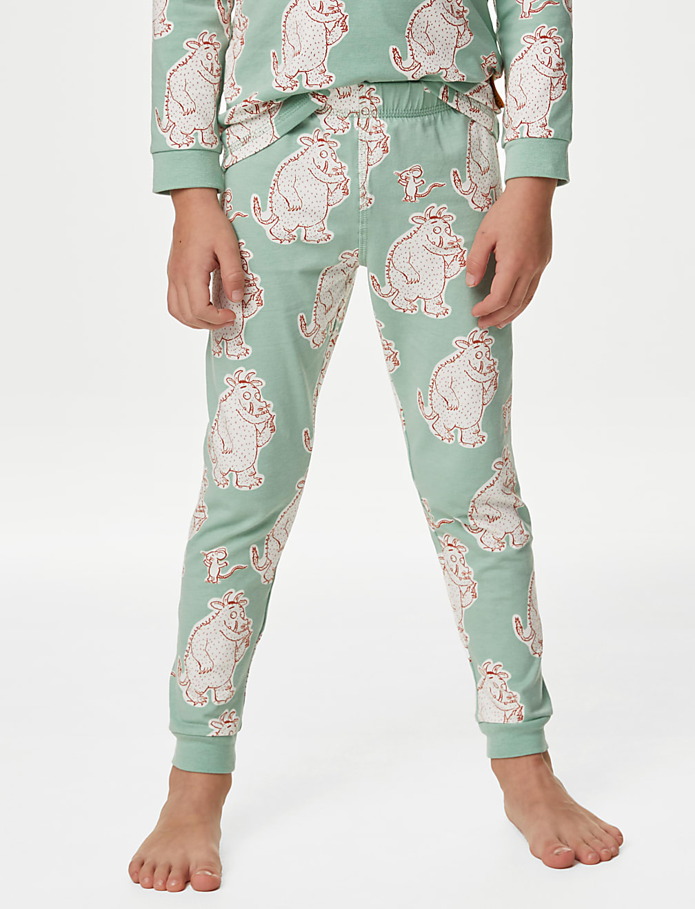 The Gruffalo™ Pyjamas (1-6 Yrs)