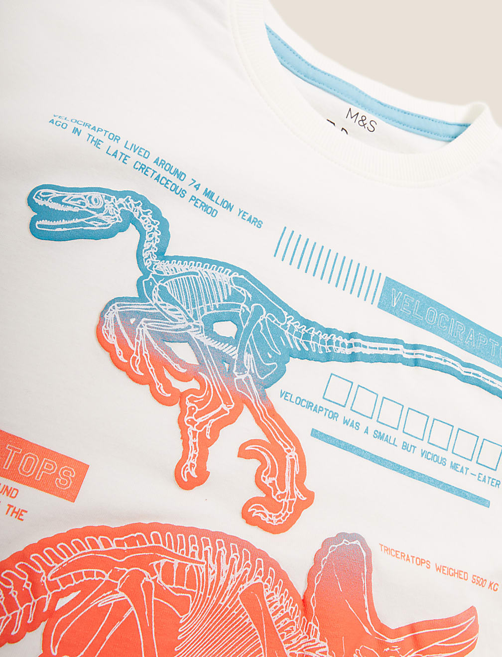 Pure Cotton NHM&trade; Dinosaur T-Shirt