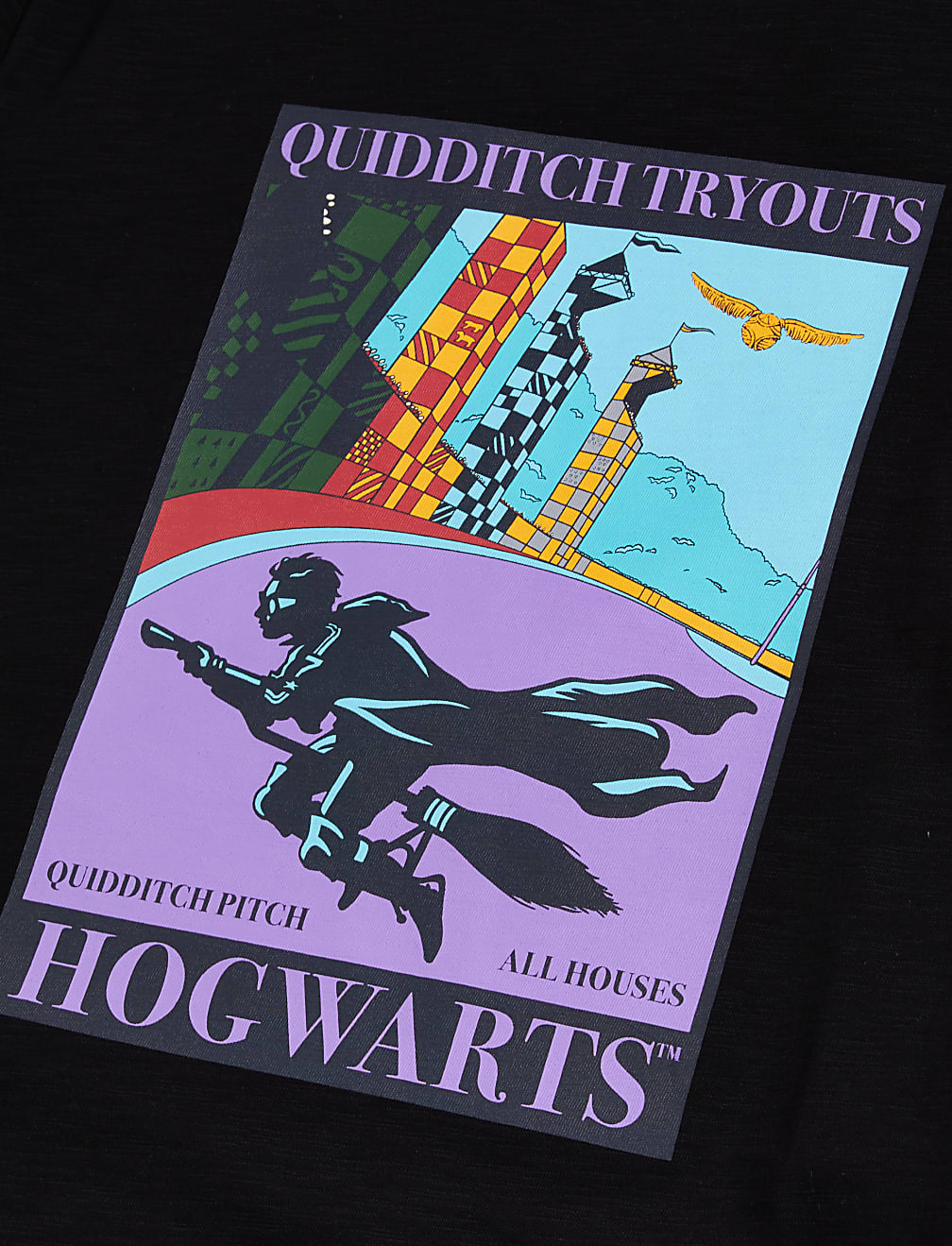 Pure Cotton Harry Potter™ Quidditch T-Shirt (6-16 Yrs)