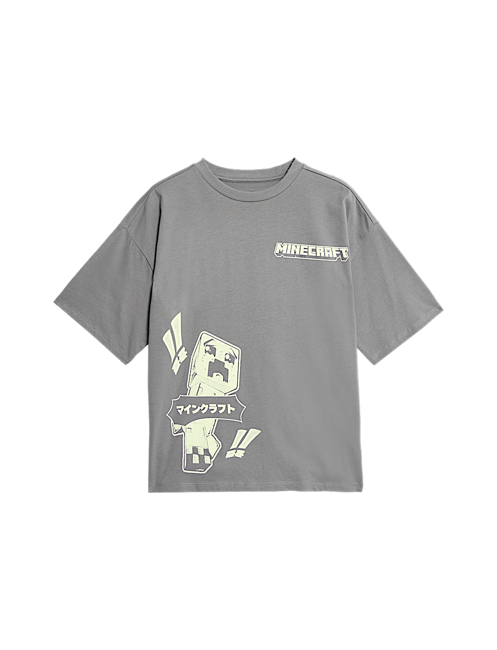 Pure Cotton Minecraft™ Ombre T-Shirt (6-16yrs)