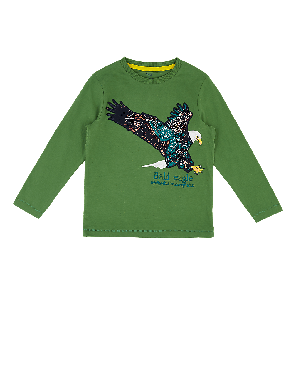 Cotton Embroidered Eagle Top
