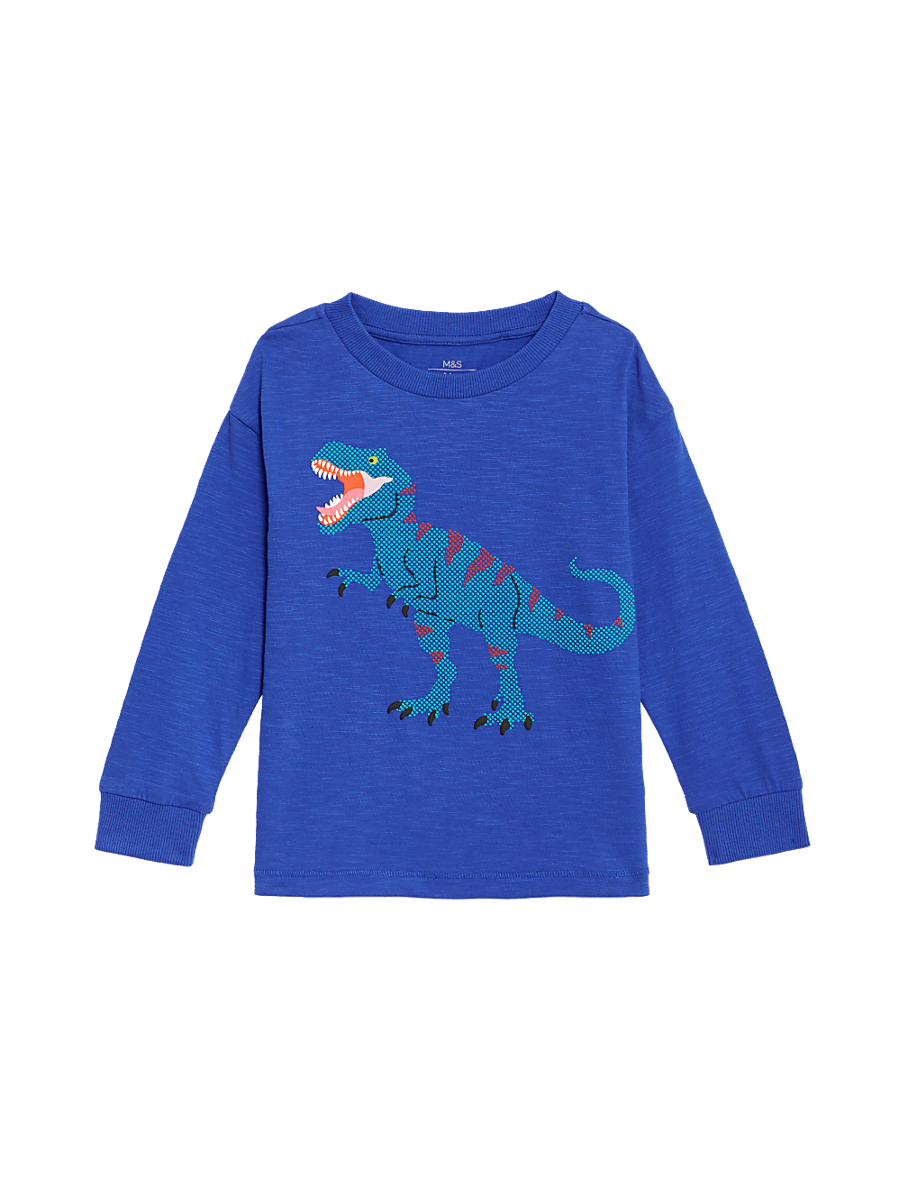 Pure Cotton Dinosaur Graphic Top (2-8 Yrs)