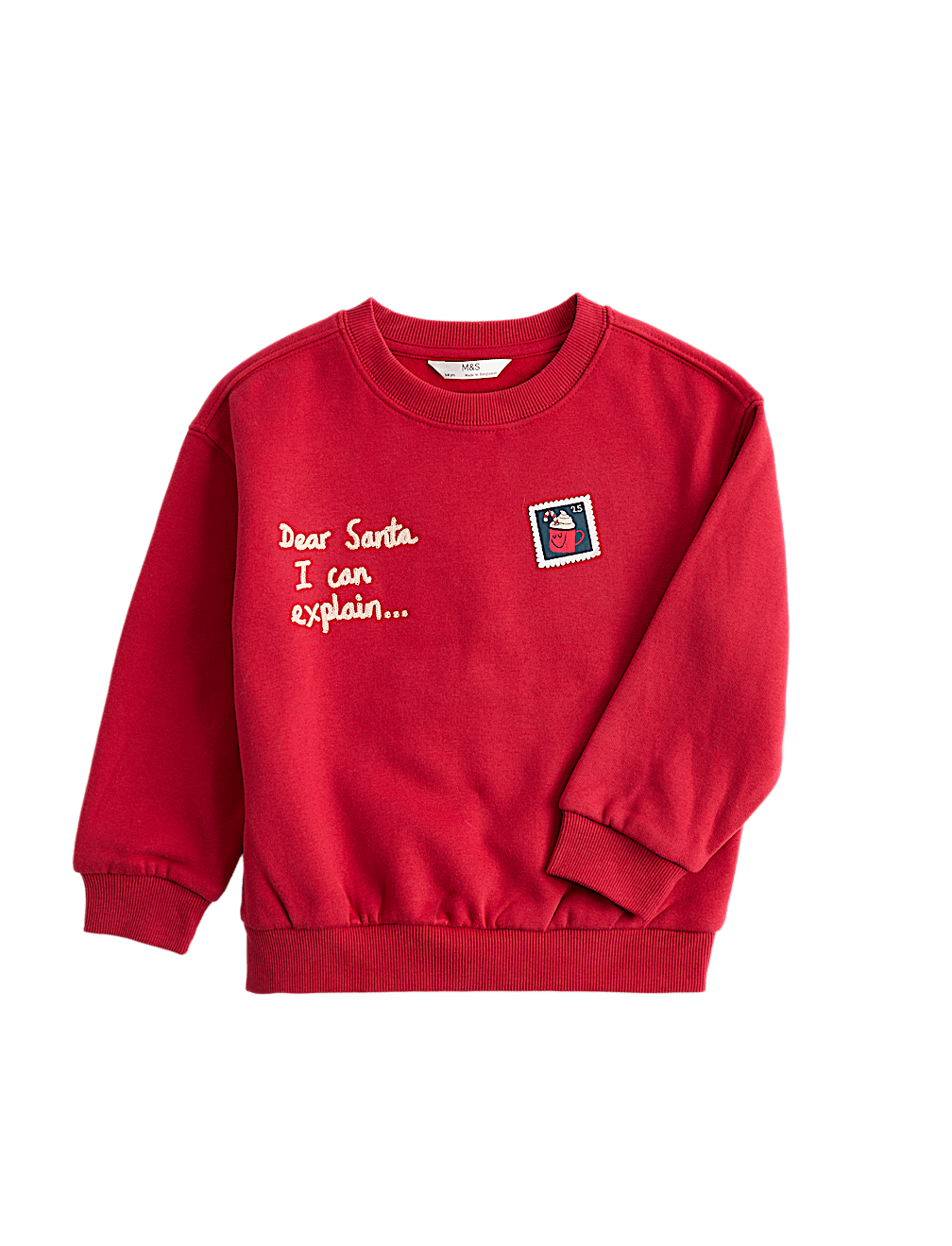 Cotton Rich Christmas Sweatshirt (2-8 Yrs)
