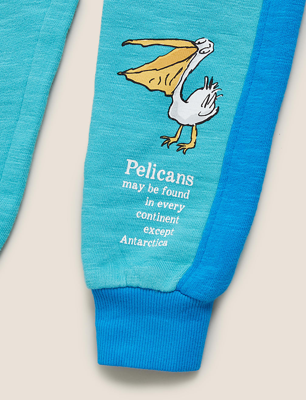 Roald Dahl™ & NHM™ Pelican Joggers