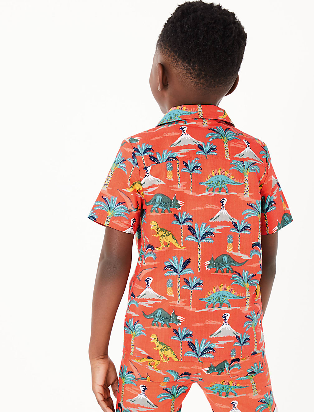 Pure Cotton Dinosaur Print Shirt (2-7 Yrs)