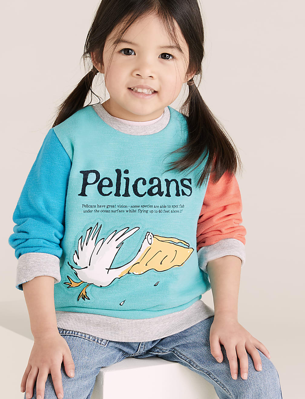 Roald Dahl™ & NHM™ Pelican Sweatshirt