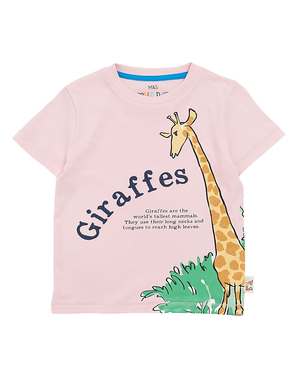 Pure Cotton Roald Dahl™ & NHM™ T-Shirt