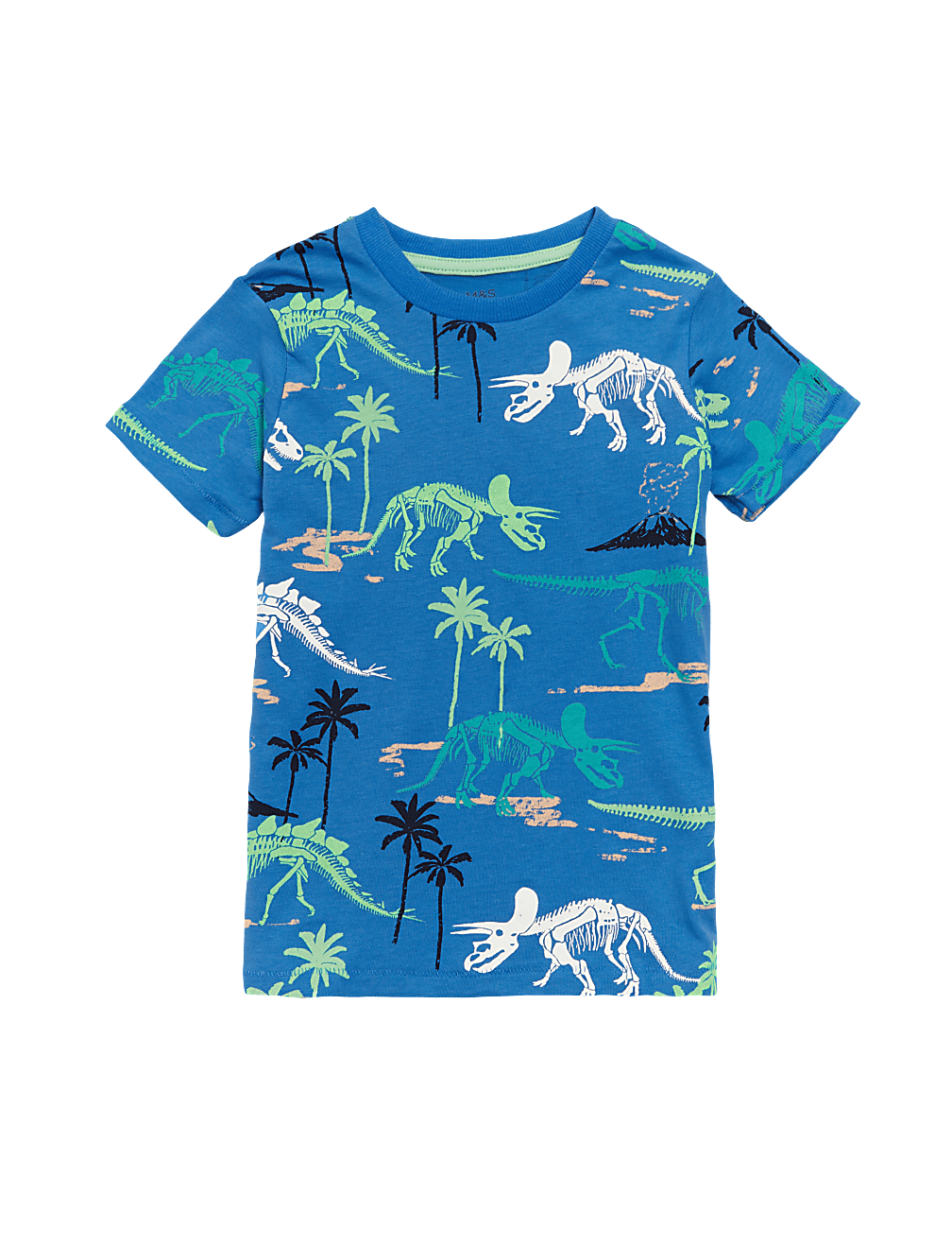 Organic Cotton Dinosaur T-Shirt
