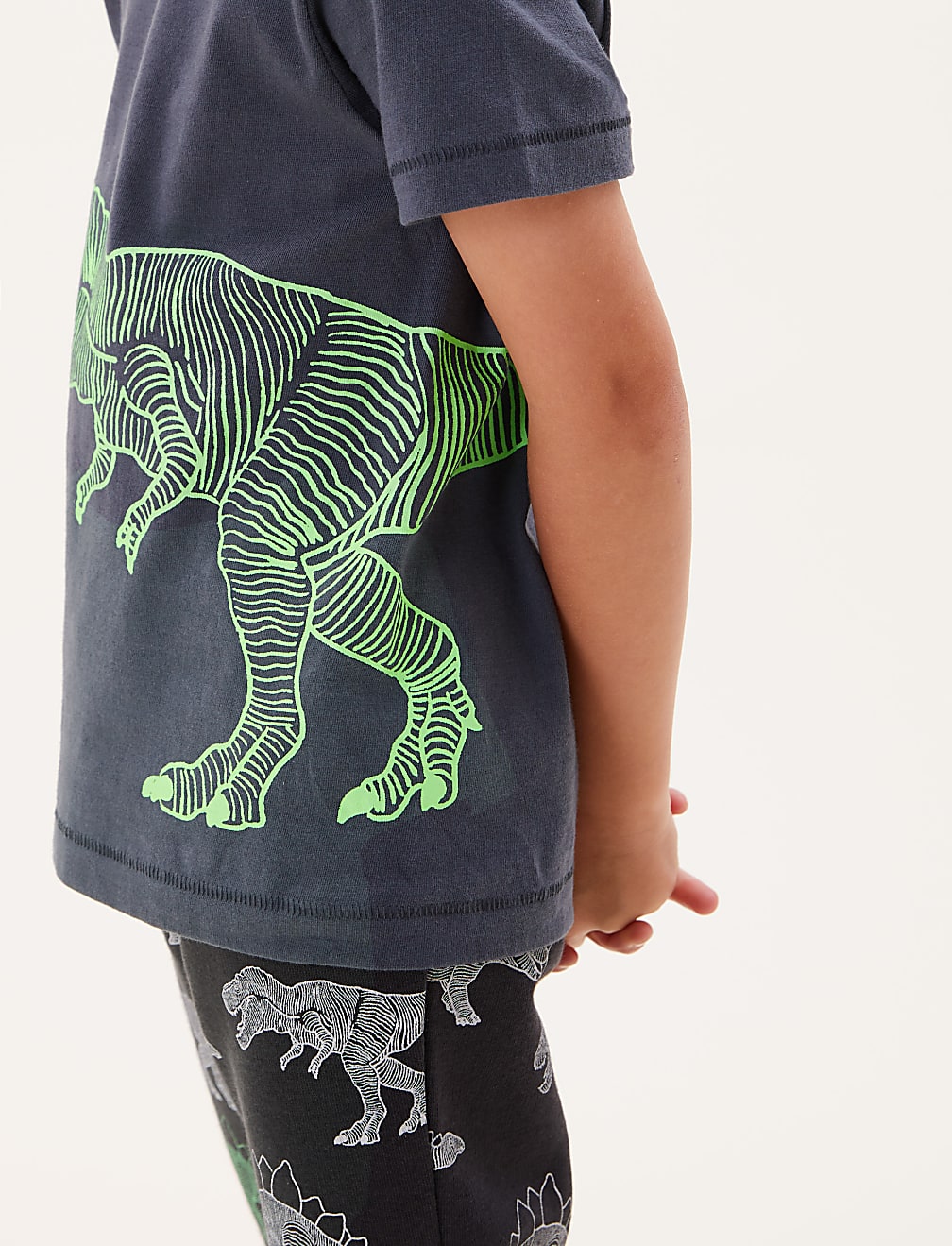Pure Cotton Dinosaur T-Shirt (2-7 Yrs)