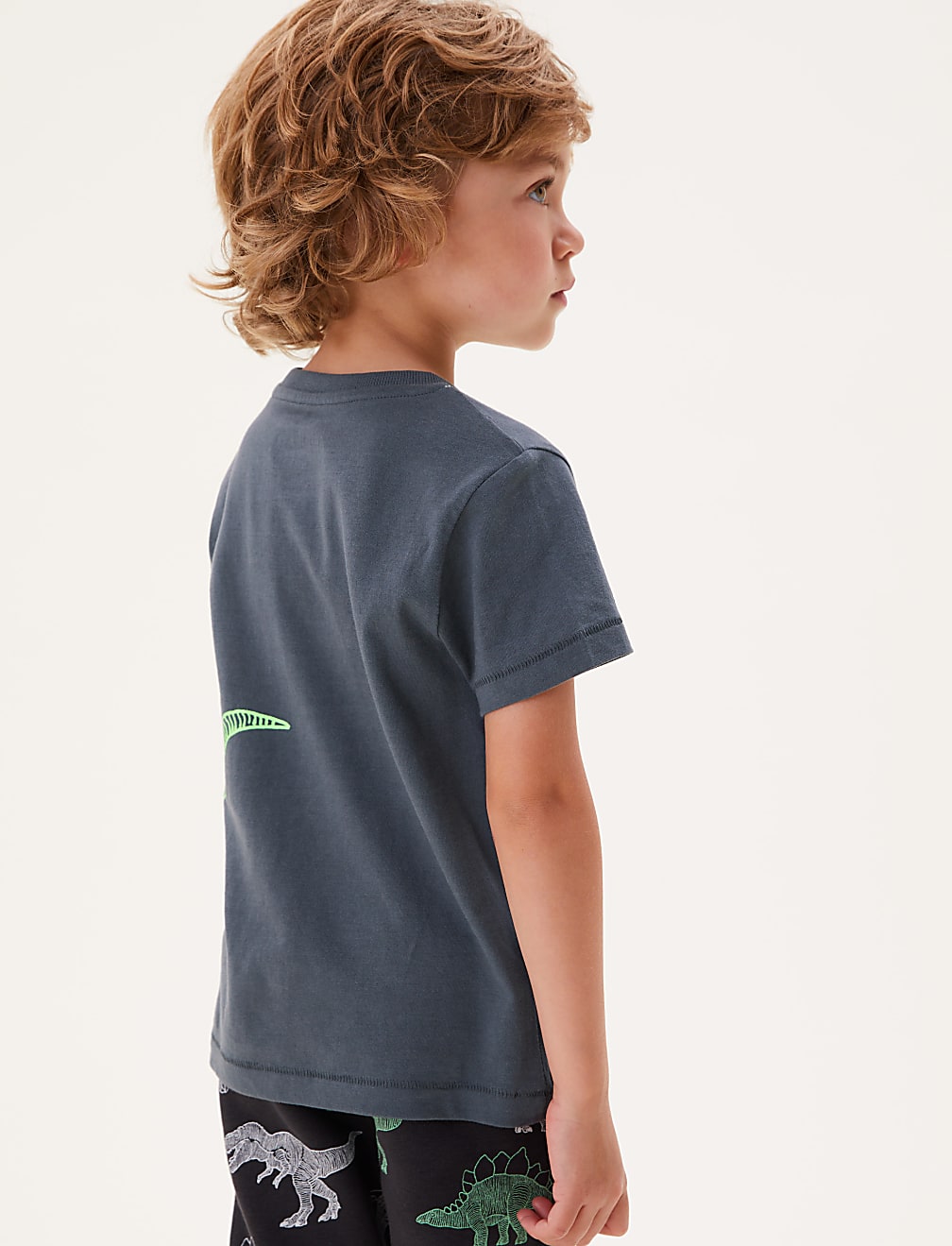 Pure Cotton Dinosaur T-Shirt (2-7 Yrs)