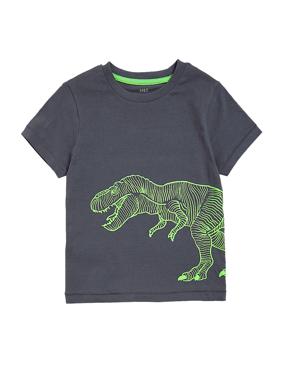 Pure Cotton Dinosaur T-Shirt (2-7 Yrs)