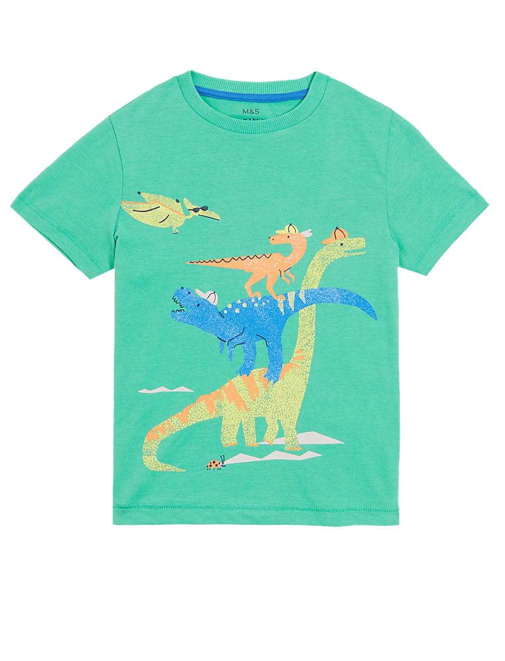 Pure Cotton Dinosaur T-Shirt (2-7 Yrs)