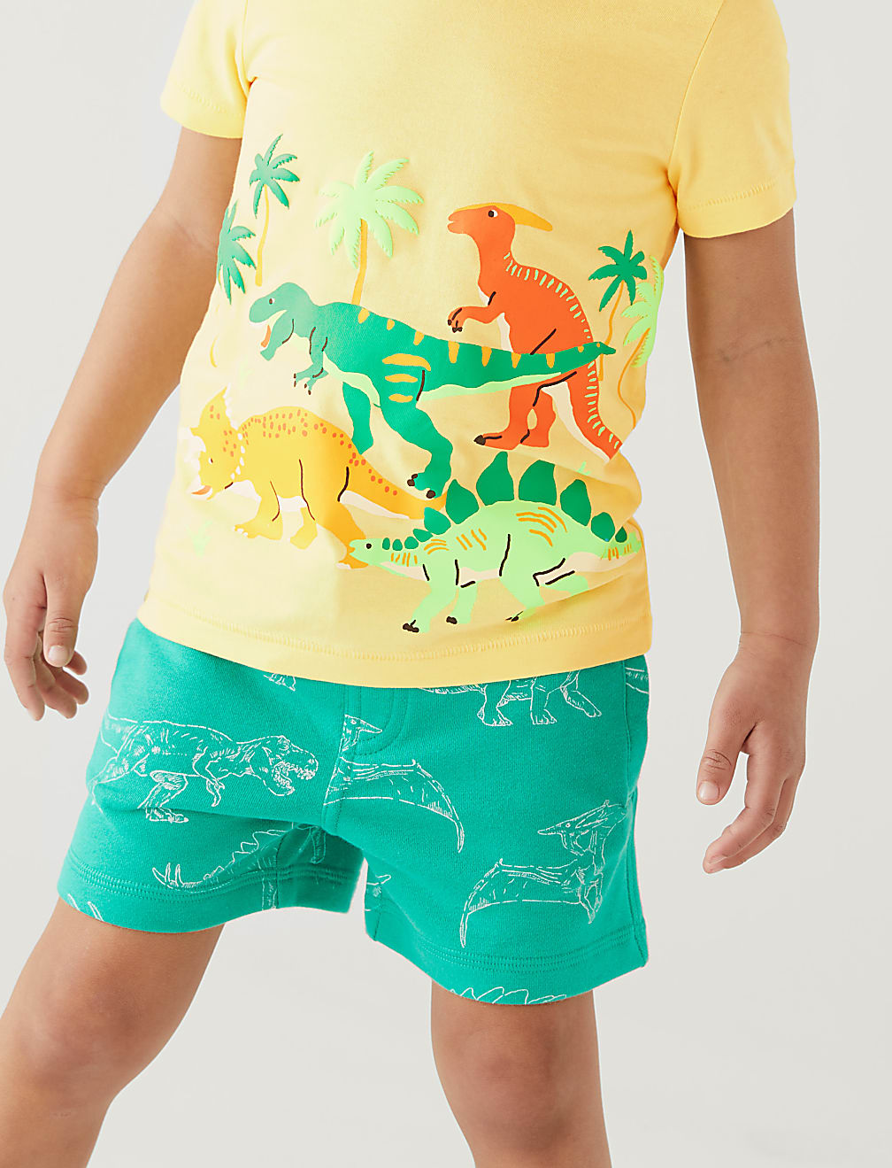 Pure Cotton Dinosaur Print T-Shirt