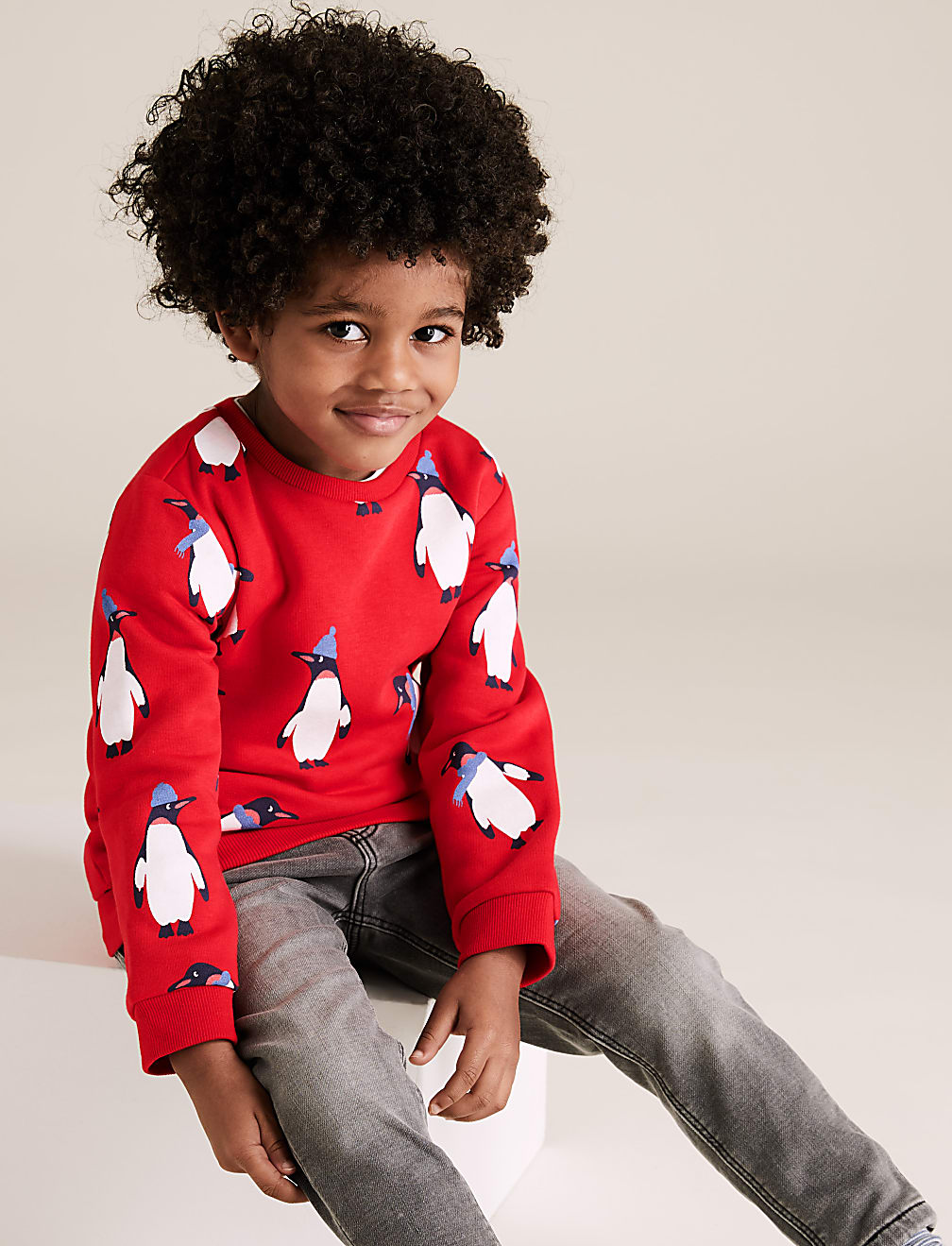 Cotton Penguin Print Sweatshirt (2-7 Yrs)