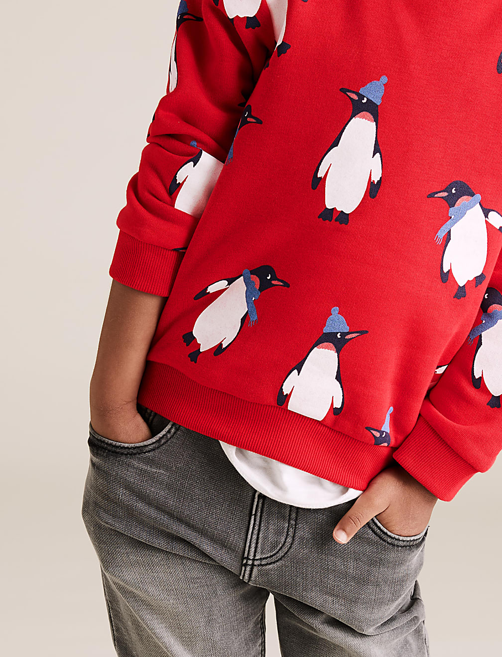 Cotton Penguin Print Sweatshirt (2-7 Yrs)