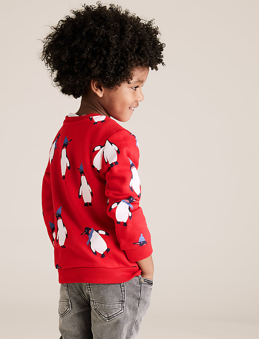 Cotton Penguin Print Sweatshirt (2-7 Yrs)