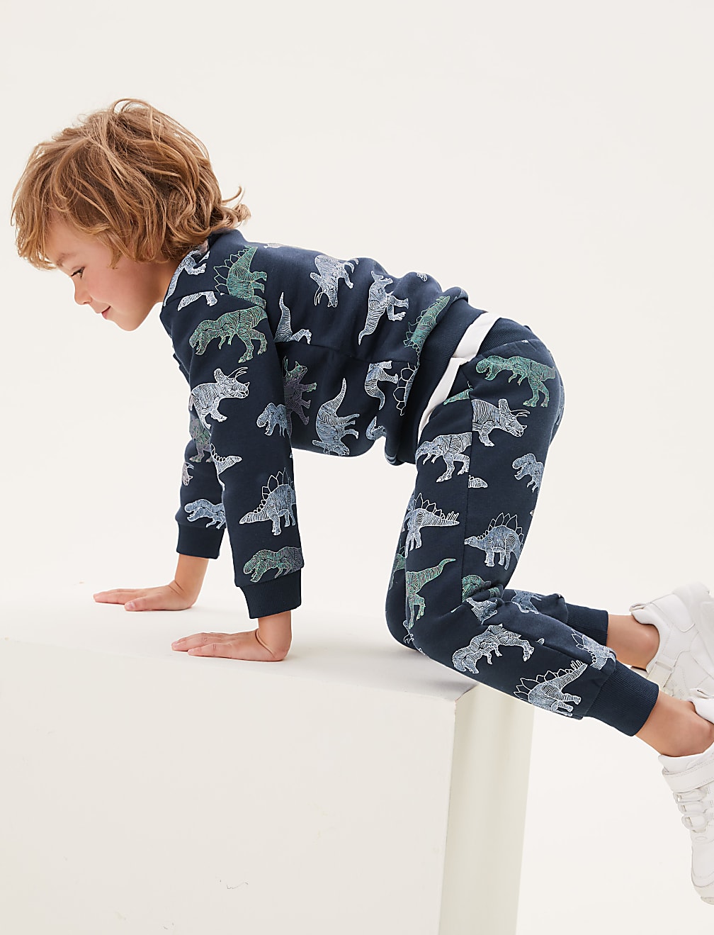 Cotton Rich Dinosaur Sweatshirt (2-7 Yrs)