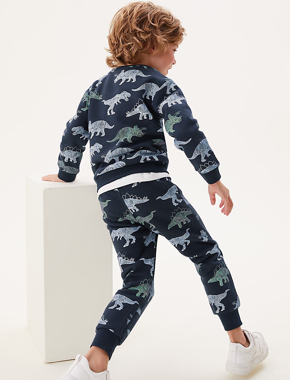 Cotton Rich Dinosaur Sweatshirt (2-7 Yrs)