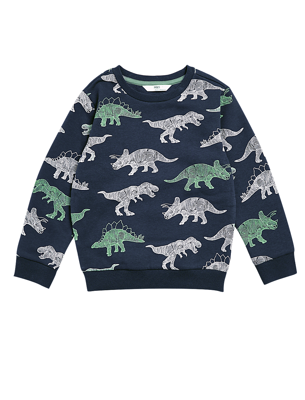 Cotton Rich Dinosaur Sweatshirt (2-7 Yrs)