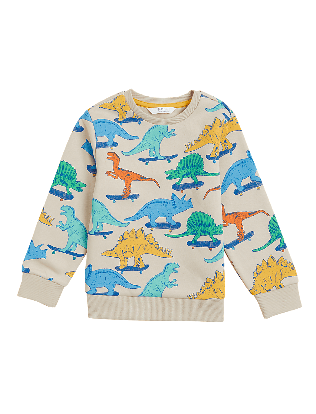 Cotton Rich Dinosaur Sweatshirt (2-7 Yrs)