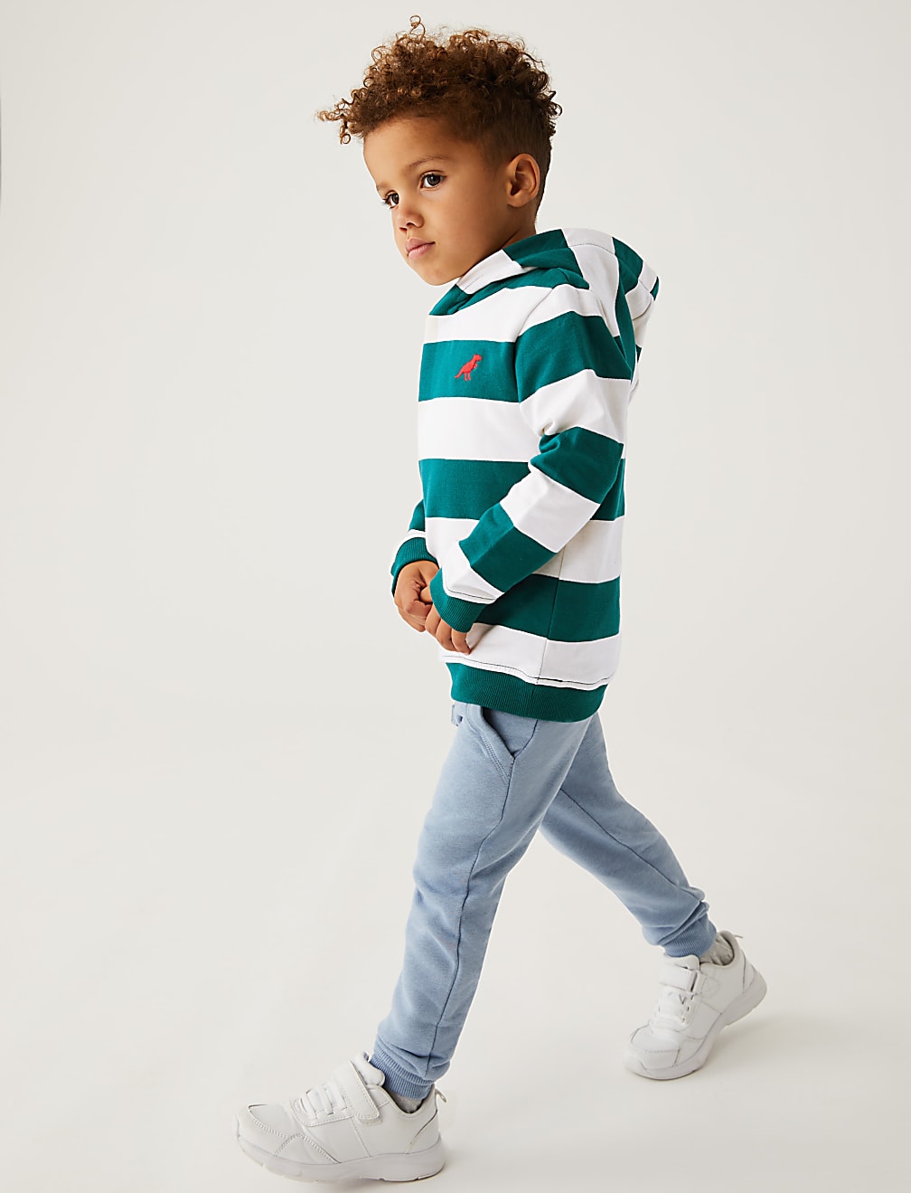 Cotton Rich Striped Hoodie