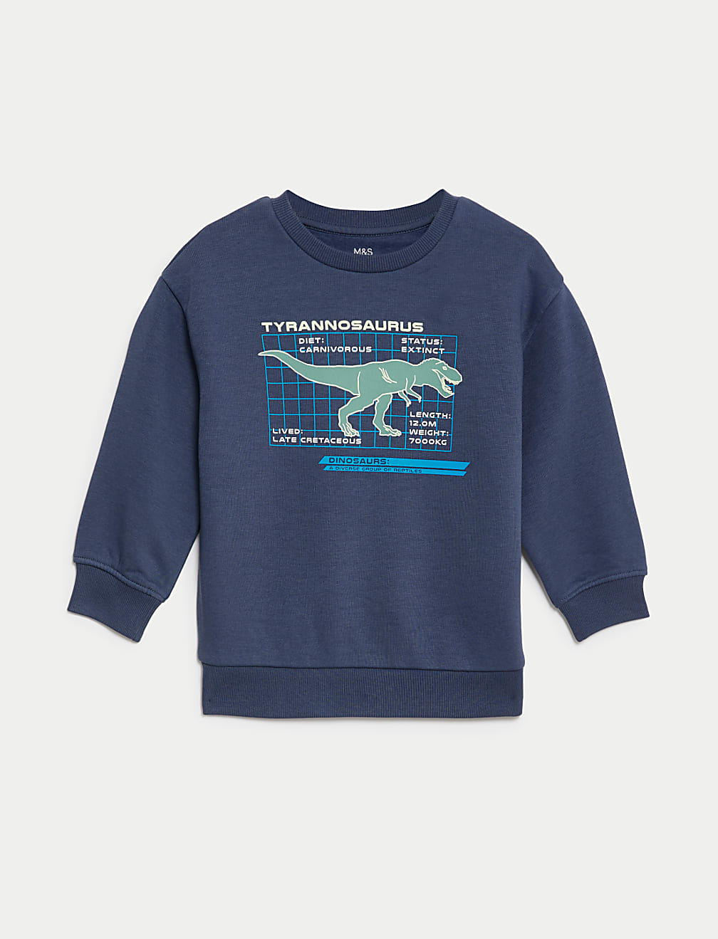 Cotton Rich Dinosaur Sweatshirt (2-8 Yrs)