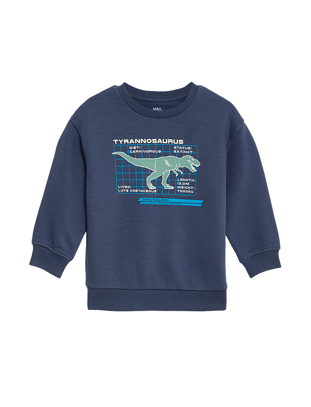 Cotton Rich Dinosaur Sweatshirt (2-8 Yrs)