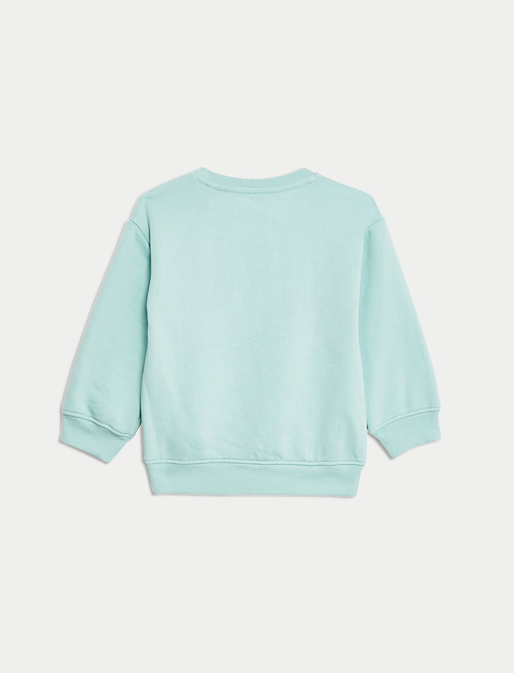 Cotton Rich Bear Sweatshirt (2-8 Yrs)