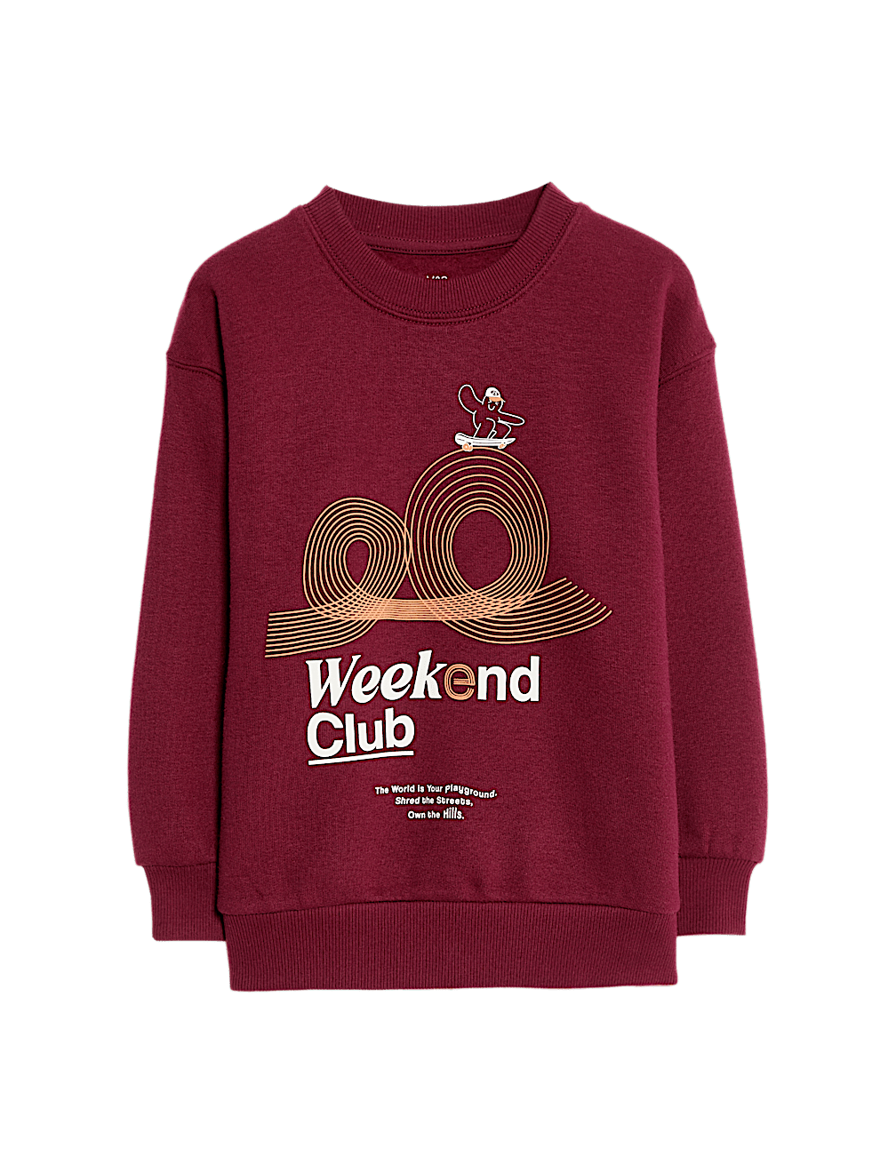 Cotton Rich Graphic Sweatshirt (2-8 Yrs)