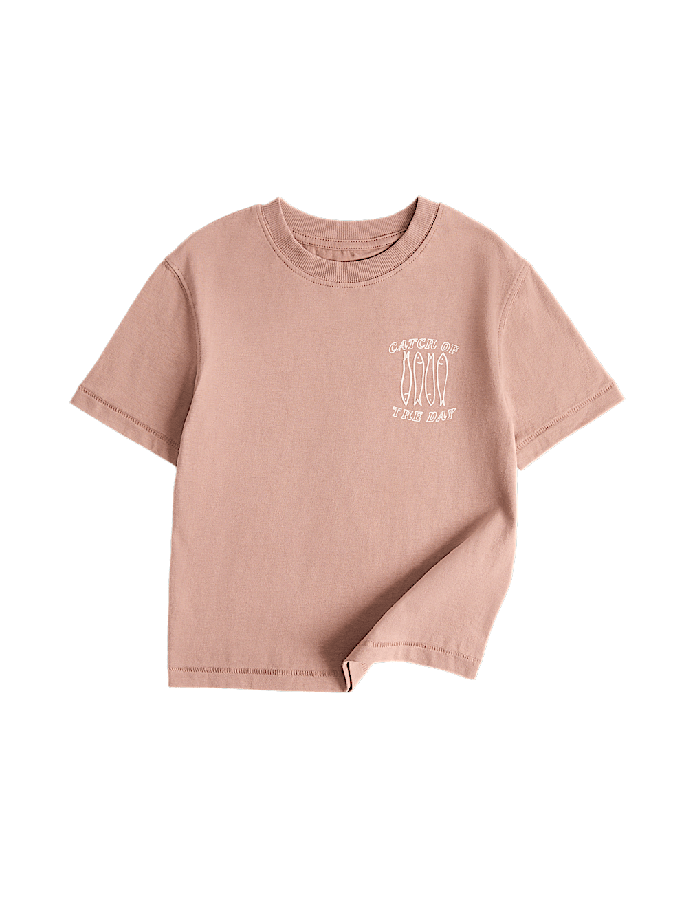 Pure Cotton Tropical Fruit Print T-Shirt (2-8 Yrs)