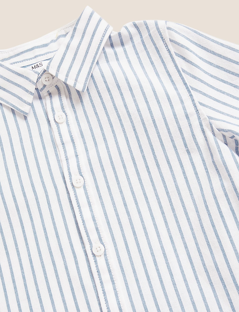 Pure Cotton Striped Oxford Shirt