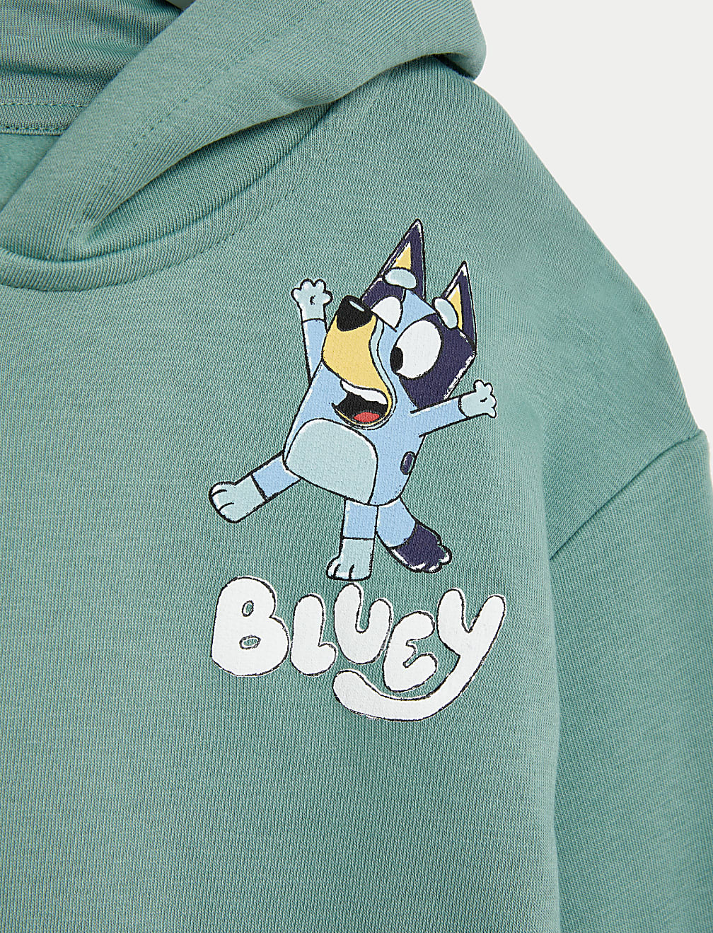 Cotton Rich Bluey™ Zip Hoodie (2-8 Yrs)
