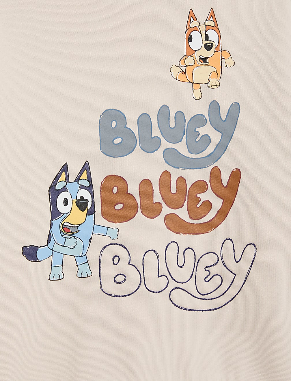 Cotton Rich Bluey™ Sweatshirt (2-8 Yrs)