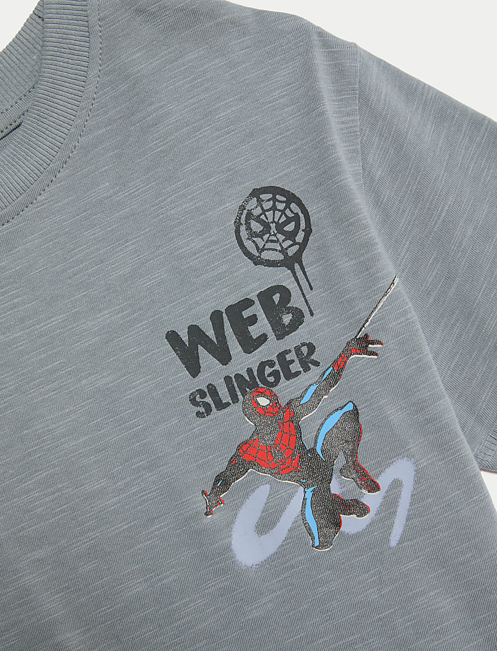 Pure Cotton Spider-Man T-Shirt (2-8 Yrs)