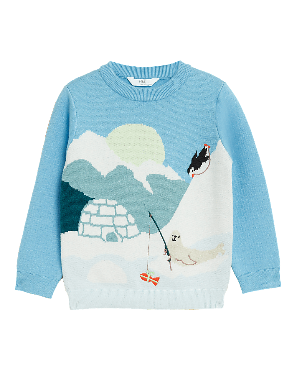 Knitted Antarctic Jumper