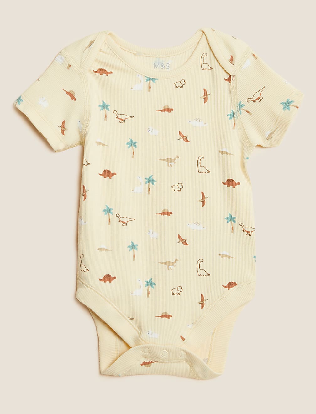 3pk Cotton Rich Dinosaur Bodysuits