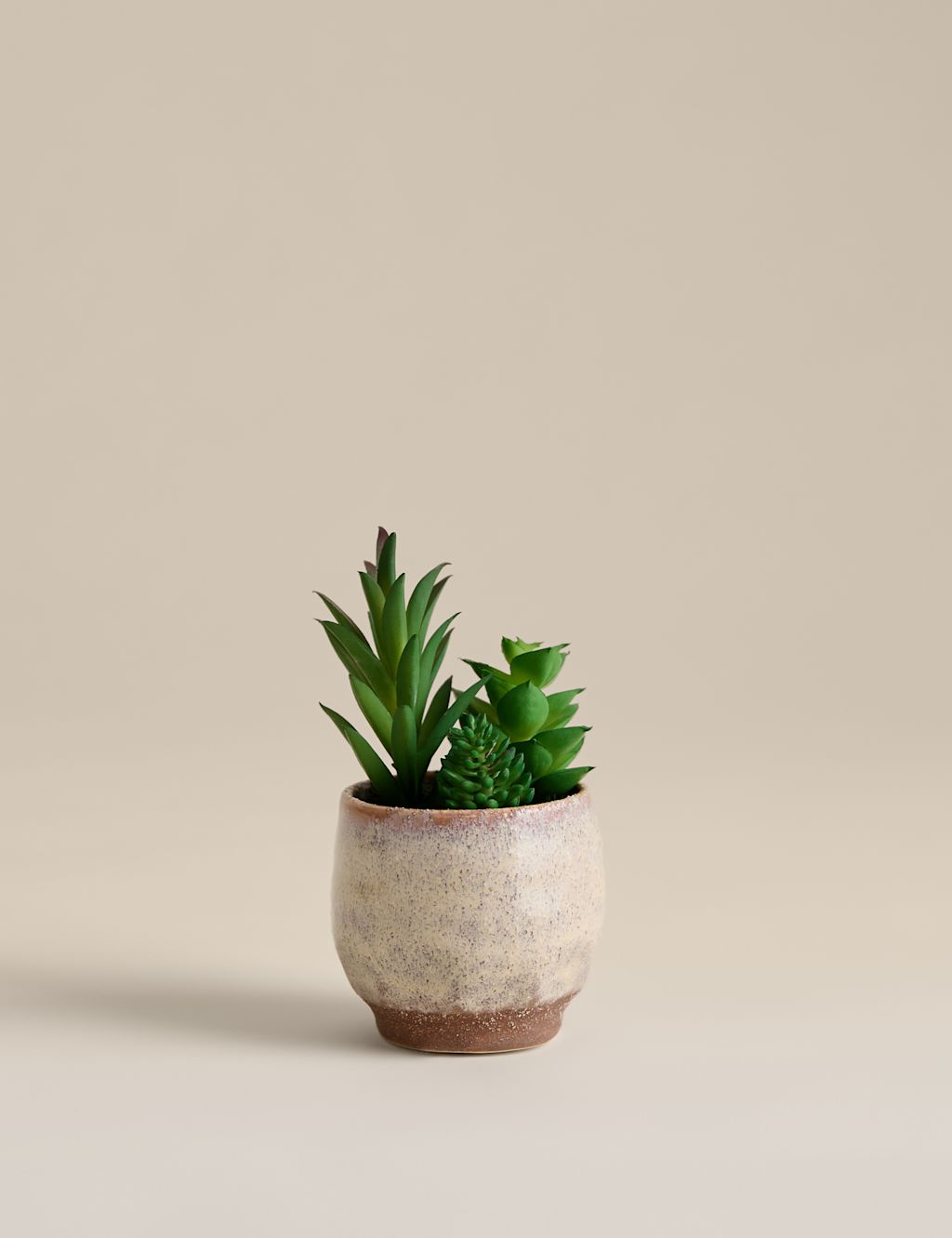 M&S Artificial Mini Succulent in Ceramic Pot - Natural, Natural