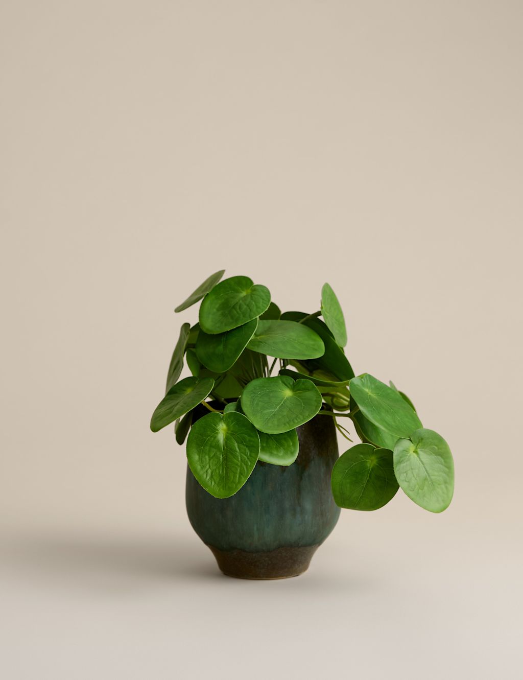 M&S Artificial Money Plant in Ceramic Pot - Green, Green
