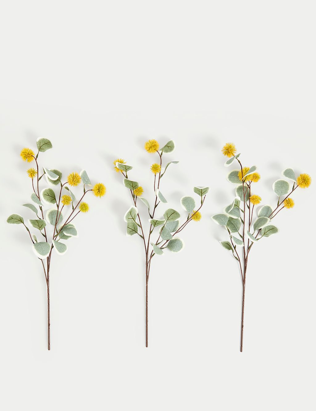M&S Set of 3 Eucalyptus Erythrocorys Single Stems - Orange, Orange