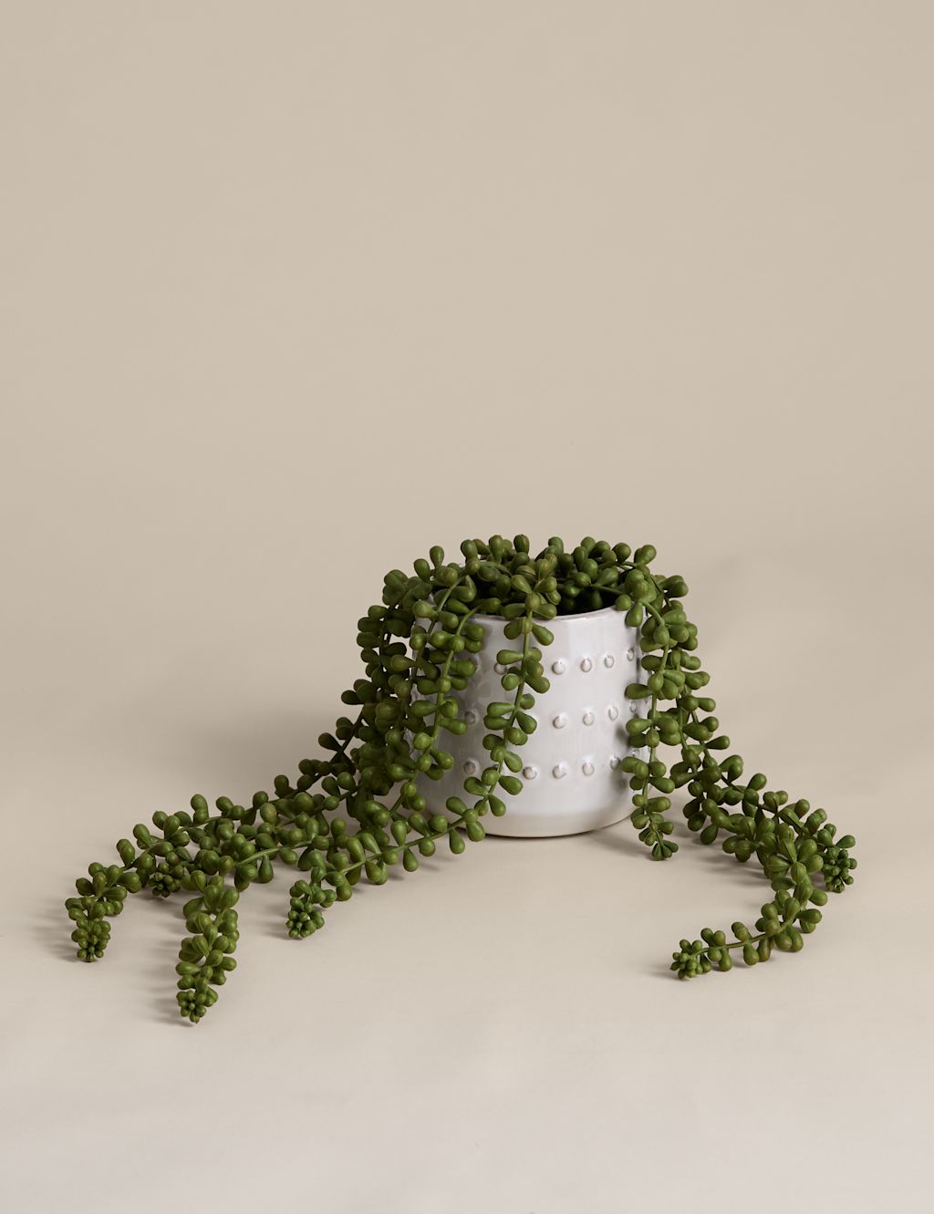 M&S Artificial String of Pearls in Ceramic Pot - Green, Green