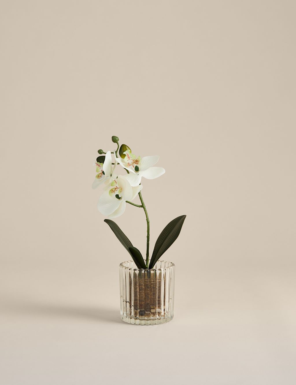 M&S Artificial Small Orchid in Glass Pot - White, White